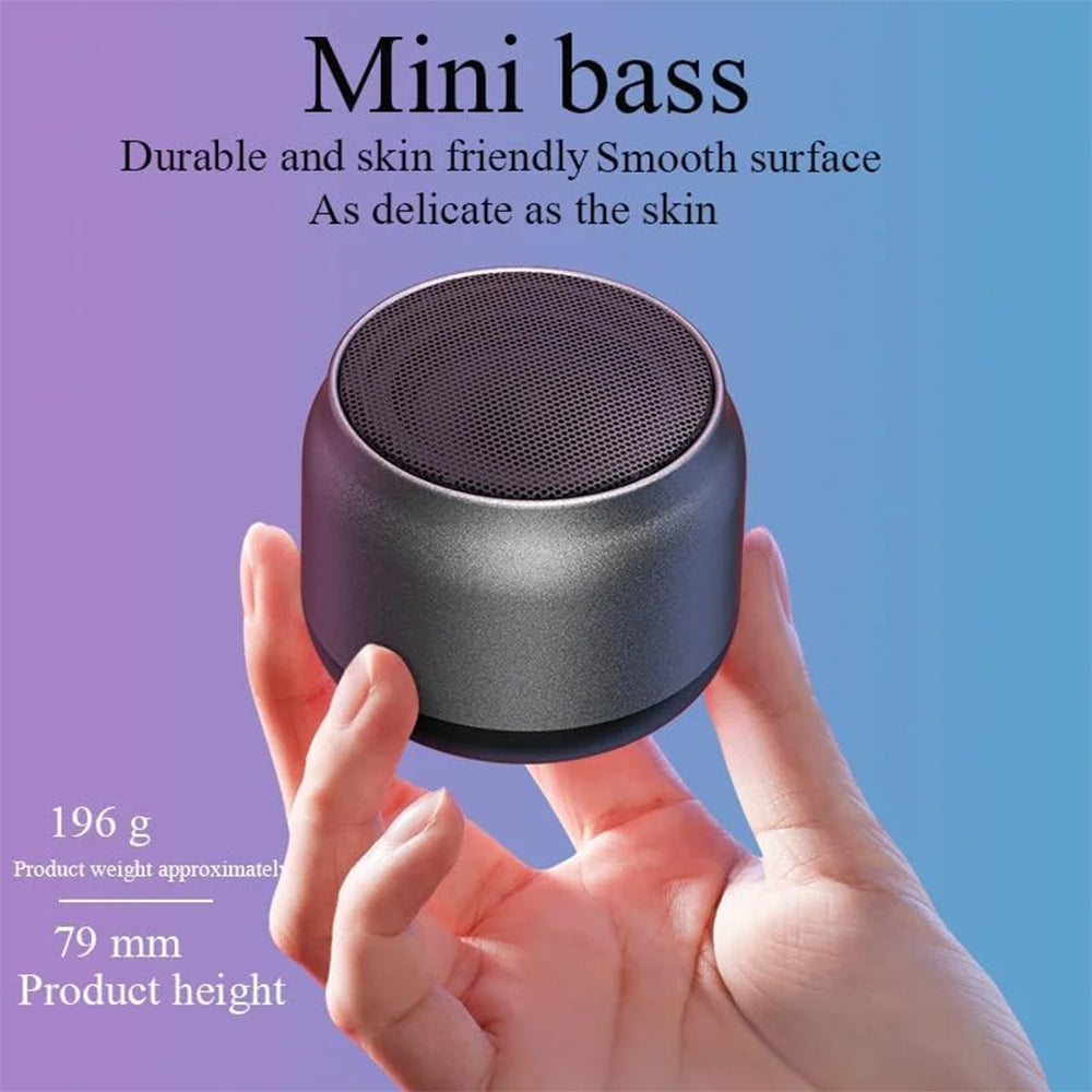 BDT AN30 Mini Portable Bluetooth Speaker 1.0