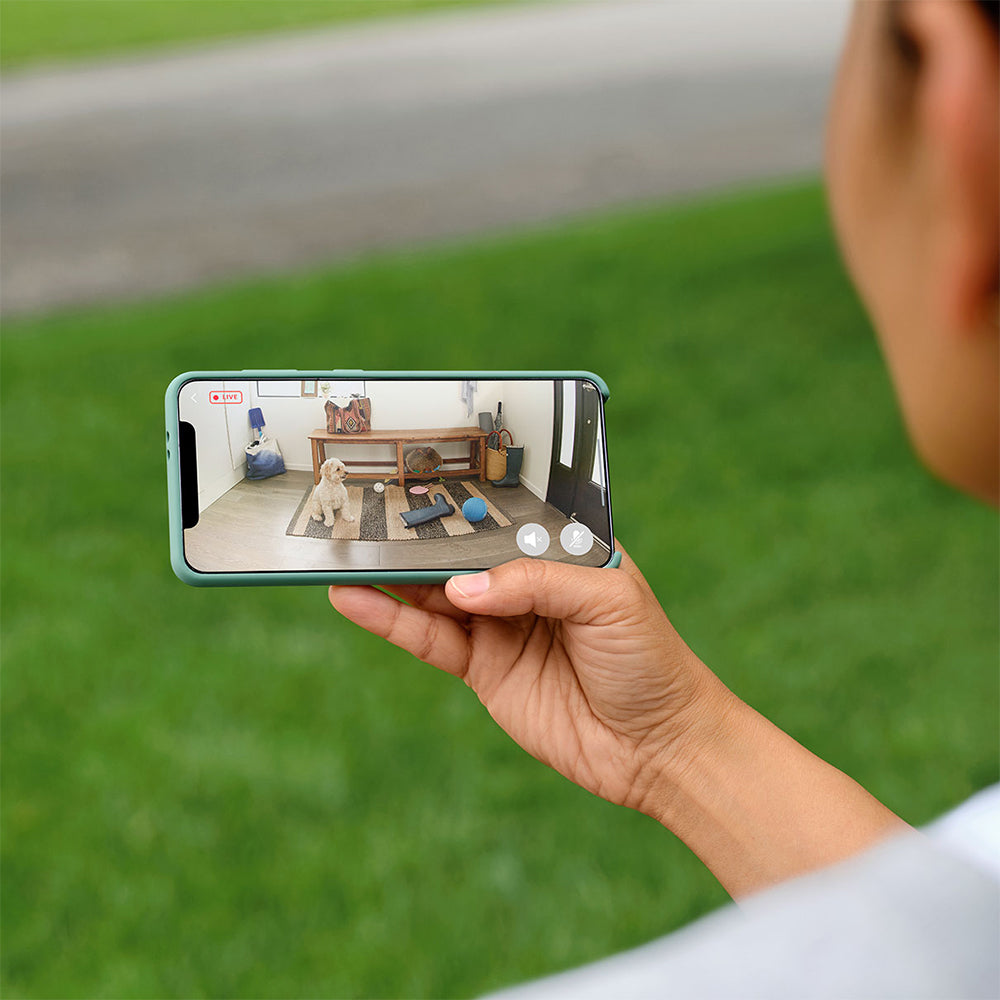 اليكسا امازون 8 بوصة Echo Hub