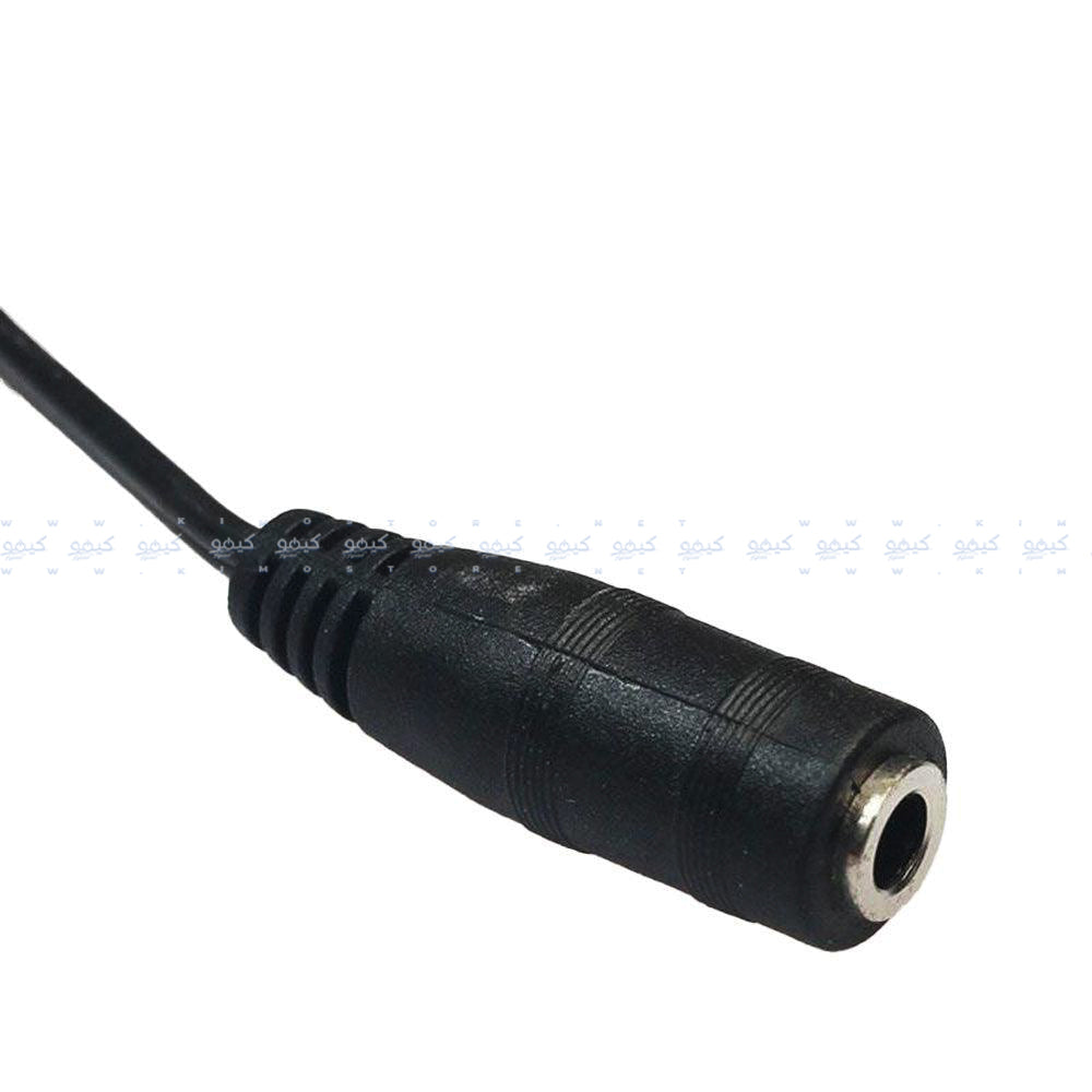 Audio Female To 2 Audio Male Converter