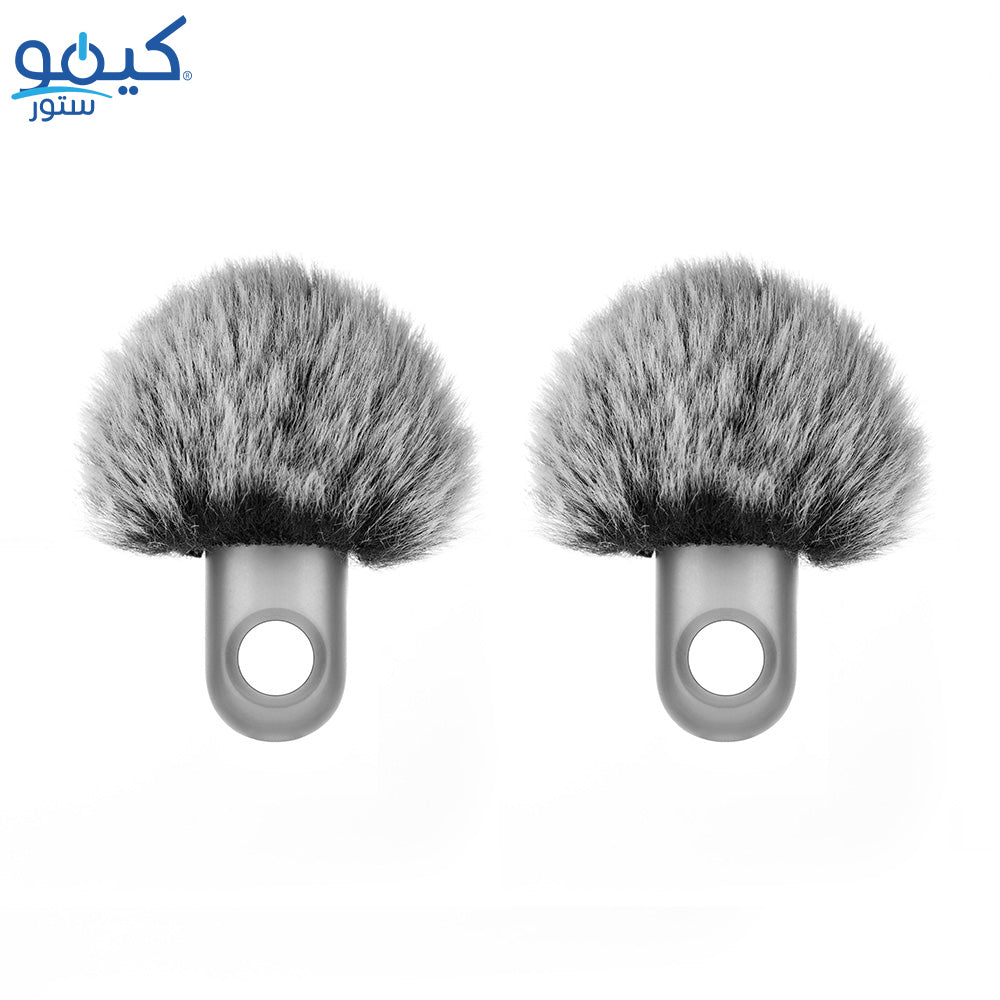 Wireless Microphone System