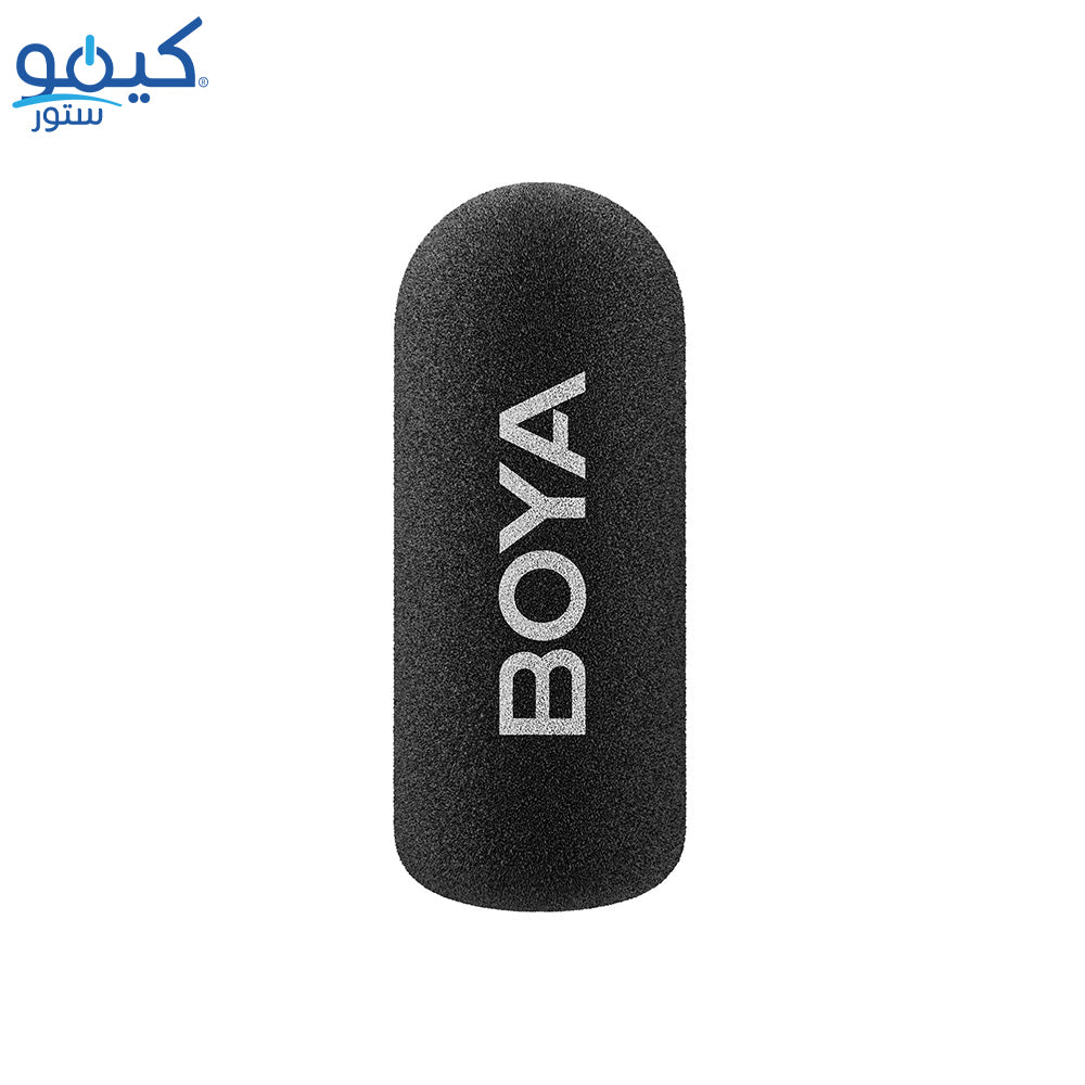 Type-C Microphone System