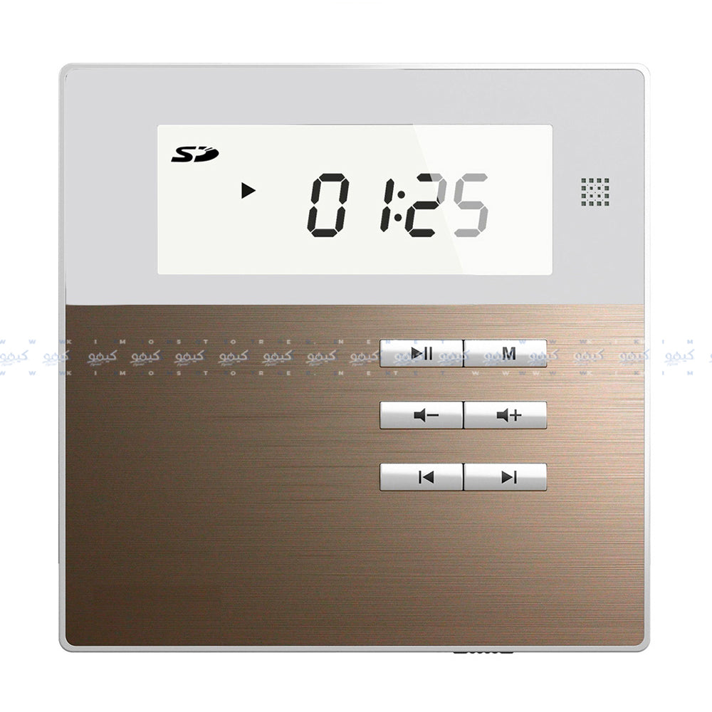 مضخم صوت دبسا مع 2 سماعة سقف M2W