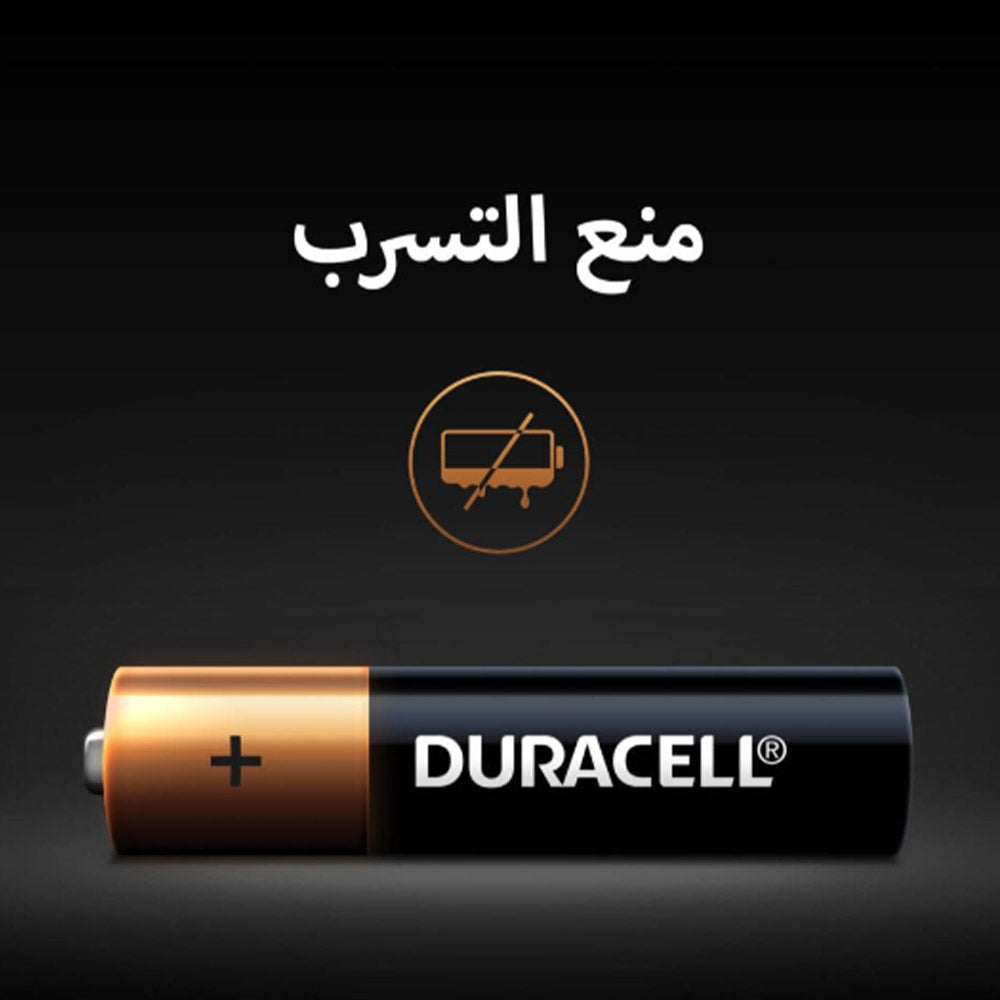 Duracell AAA2 Battery