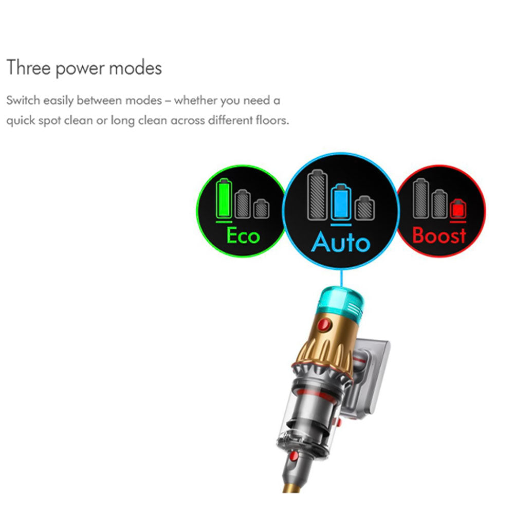 Dyson Wet & Dry Cordless Vacuum Cleaner V12s Detect Slim Submarine Complete 0.35L 545W - Gold
