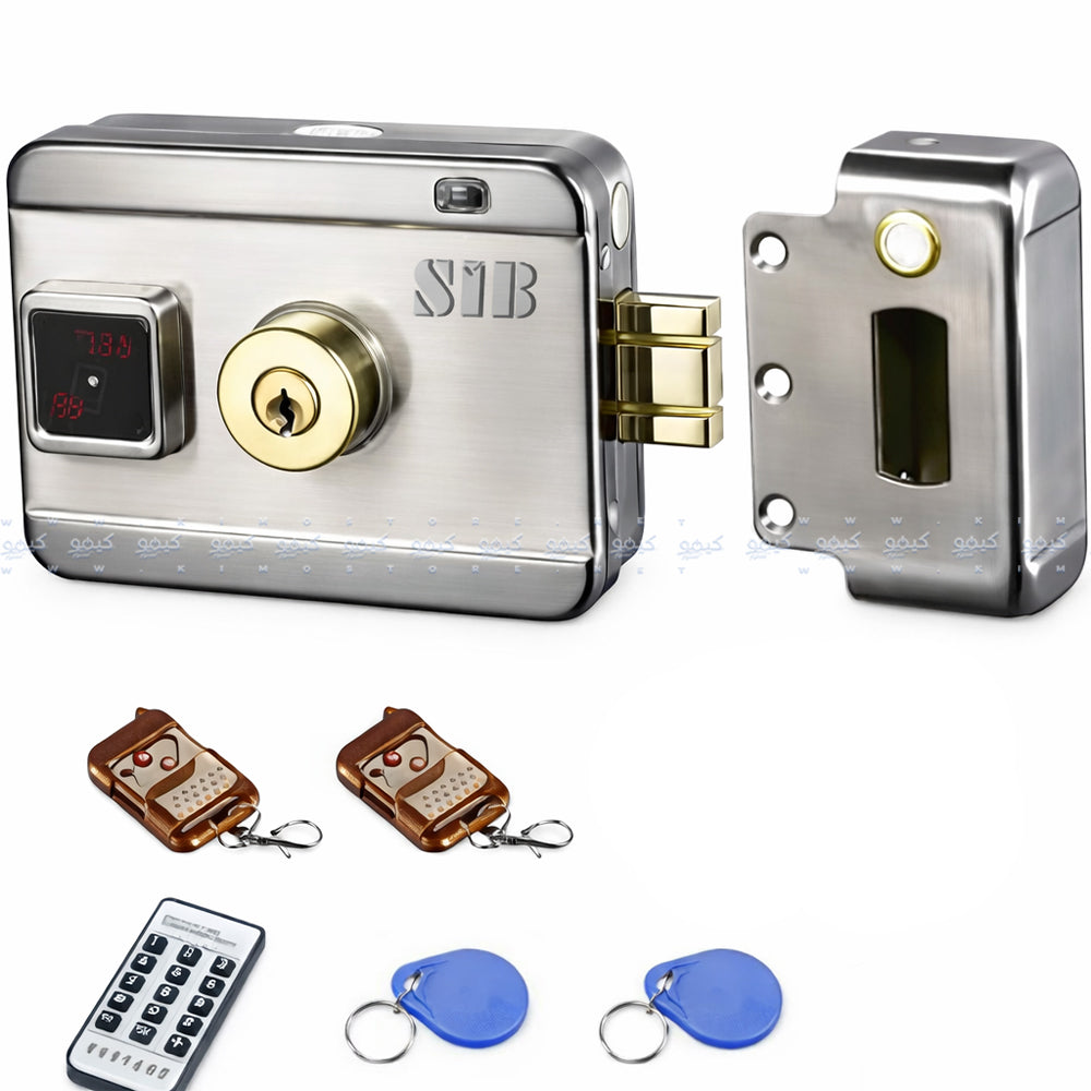 Electric Smart Lock Door