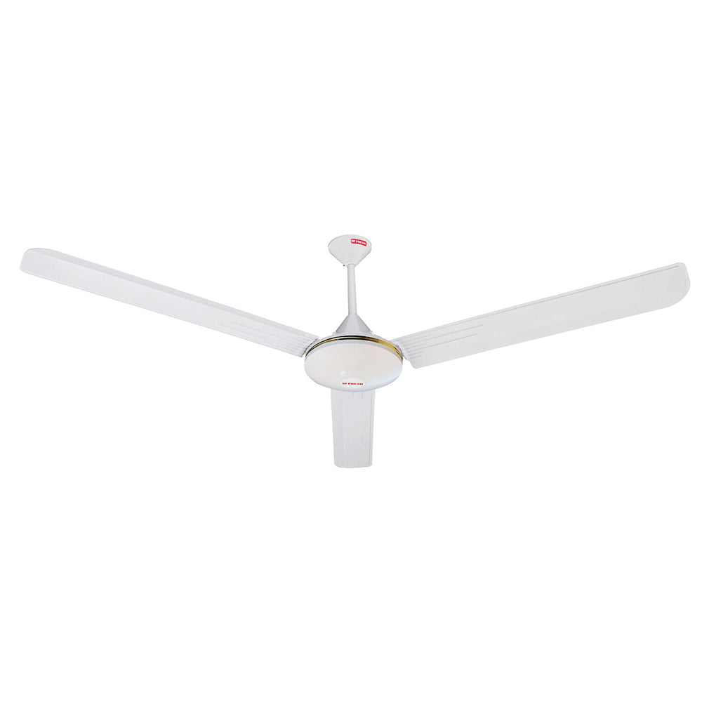 Fresh Fan Typhoon