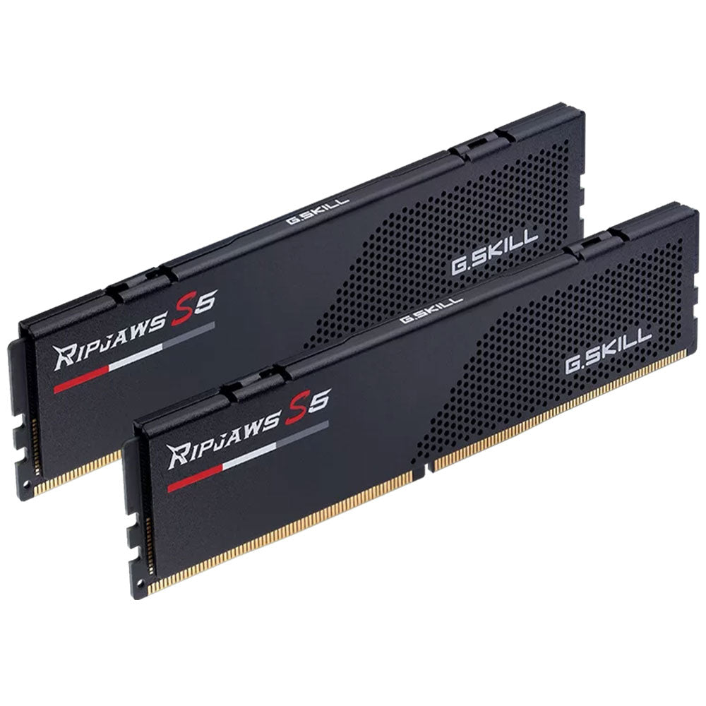 رام جي سكيل 32 جيجابايت (2×16 جيجابايت) 5600 ميجاهرتز Ripjaws S5 DDR5 - أسود