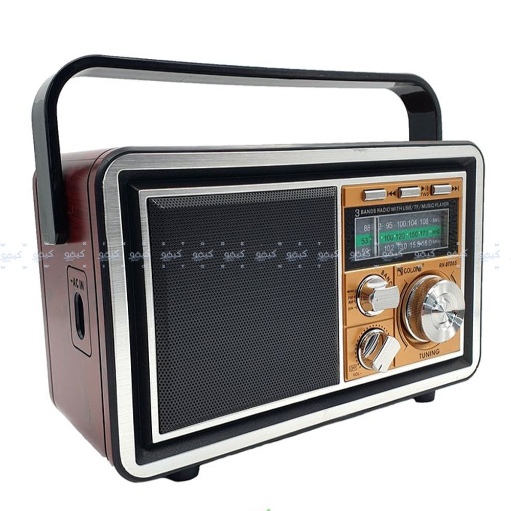 Golon RX-BT065 Portable Radio Speaker 1.0