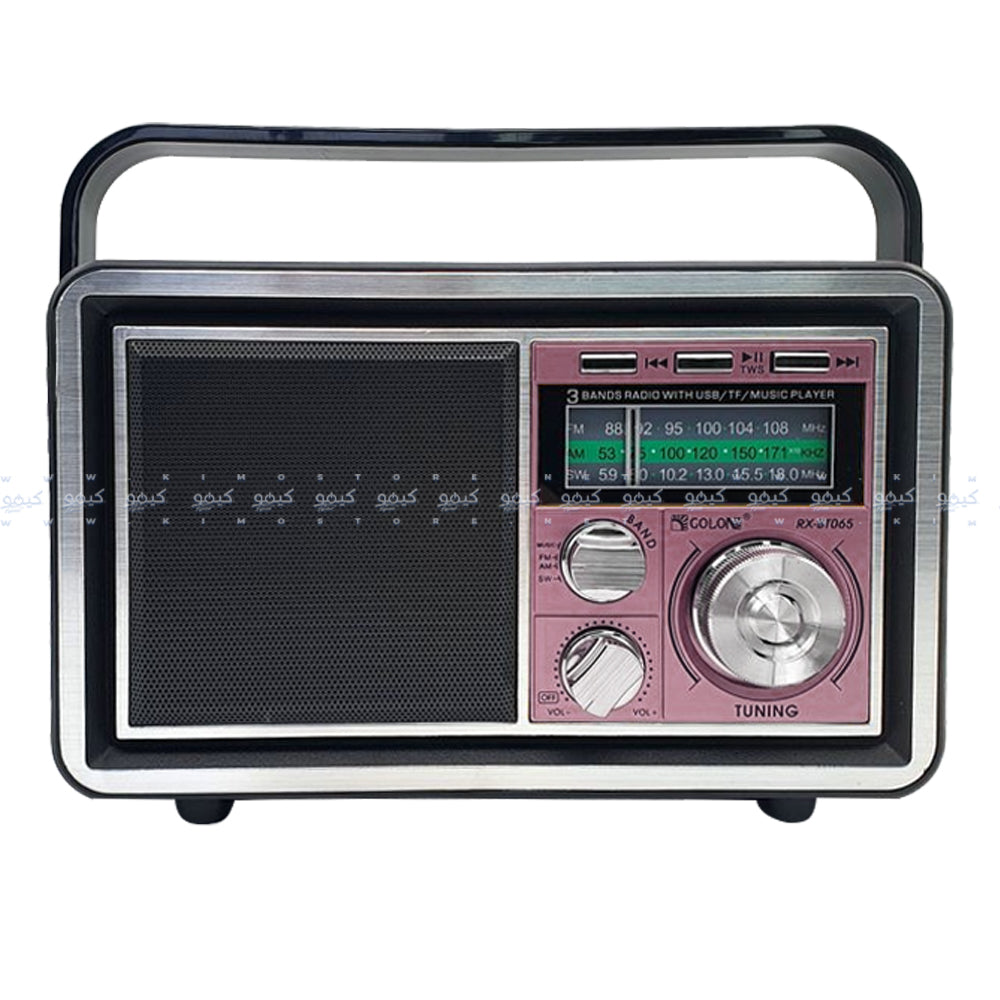 Golon RX-BT065 Portable Radio Speaker 1.0