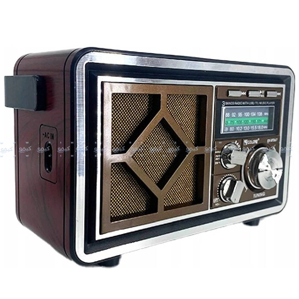 Golon RX-BT067 Portable Radio Speaker 1.0 - Brown