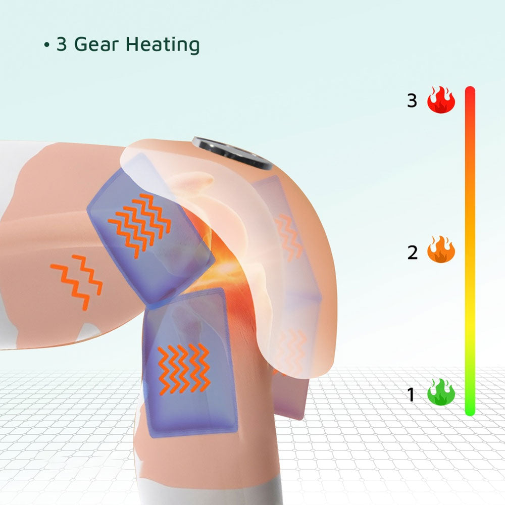 Green Lion Joint Massager