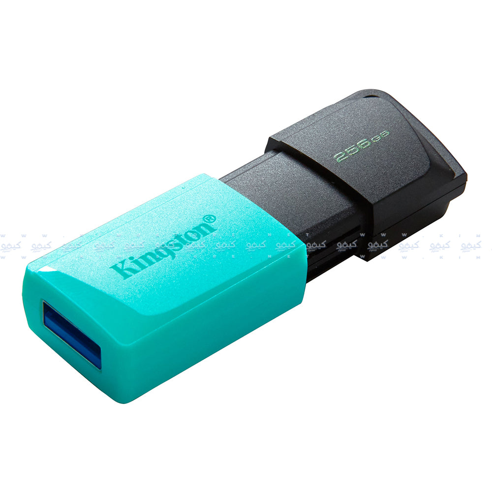 Kingston DataTraveler Exodia M 256GB USB 3.2 Flash Memory