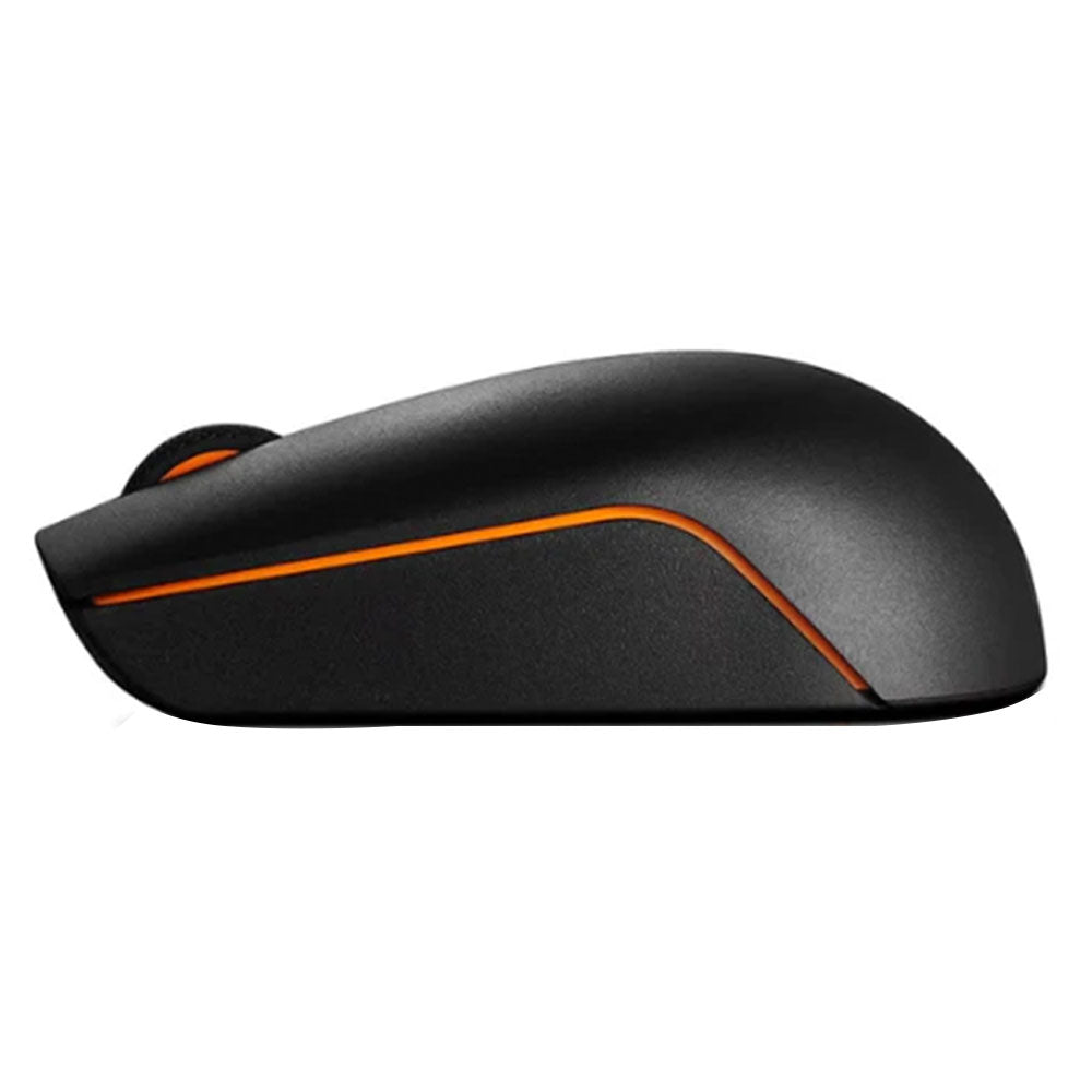 Lenovo 300