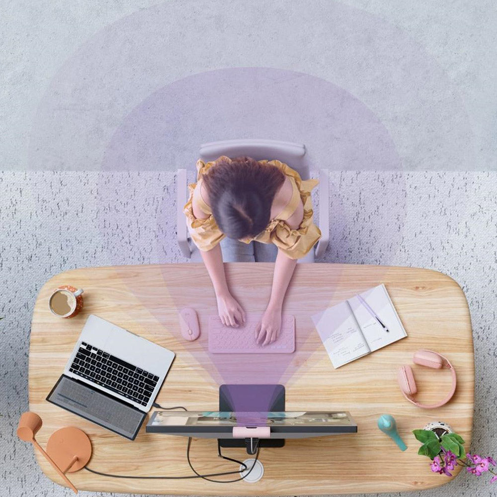 Stream Webcam