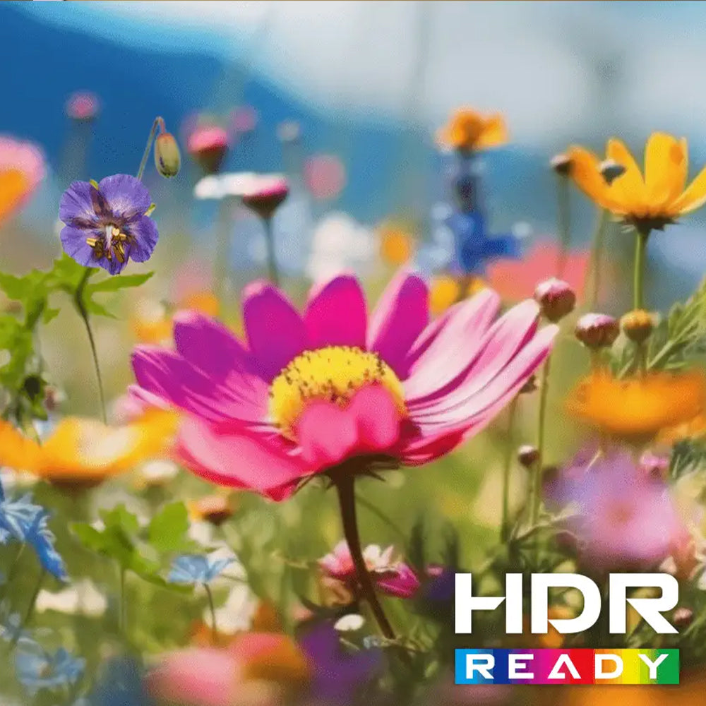 شاشة ام اس اي 27 بوصة 144 هرتز Pro MP273 E14A IPS FHD