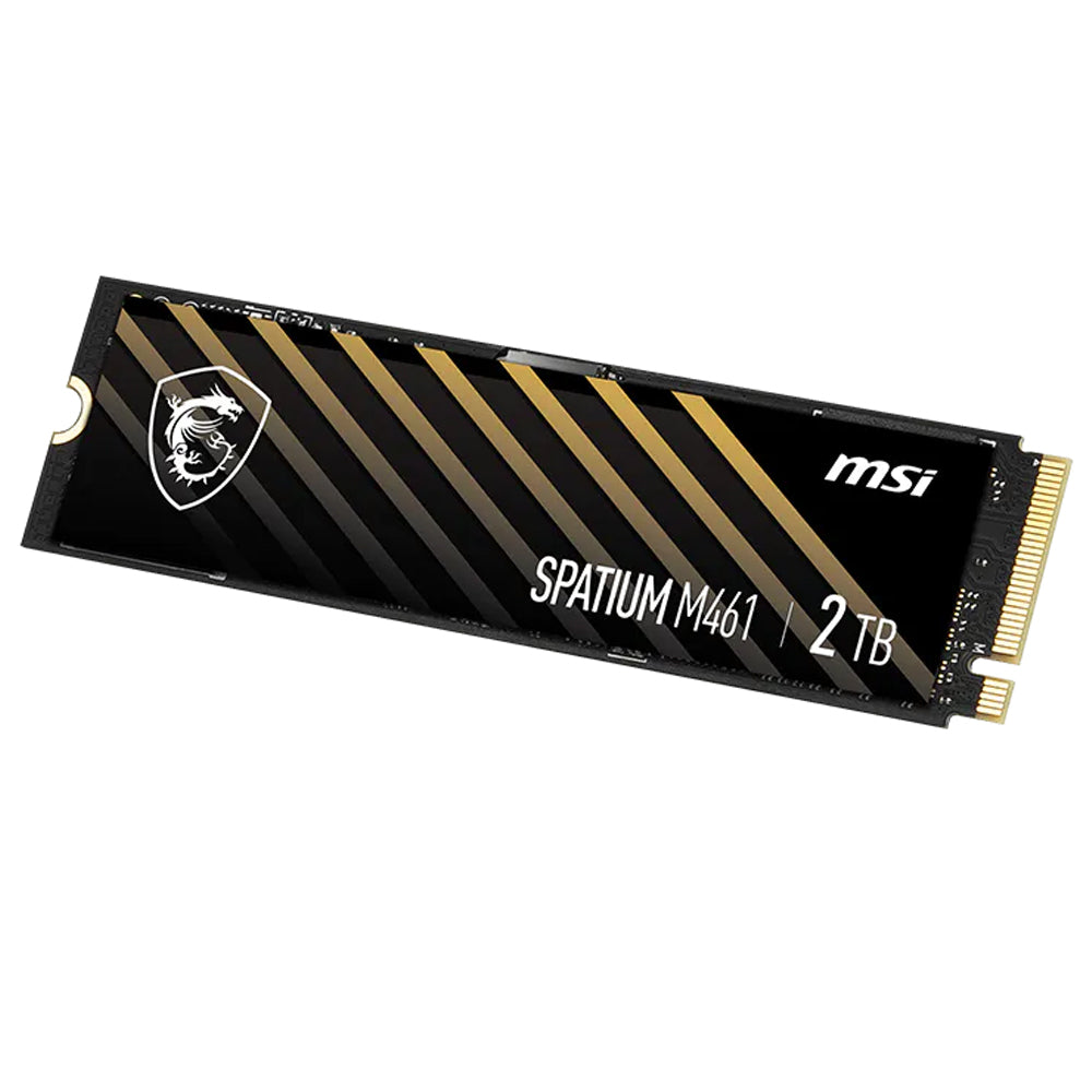 هارد درايف M.2 SSD ام اس اي 1 تيرابايت SPATIUM M461 NVMe PCle