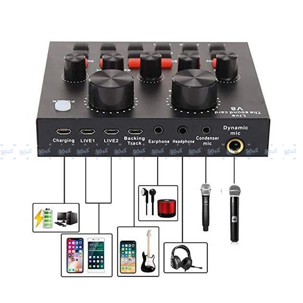 Professional Condenser Microphone