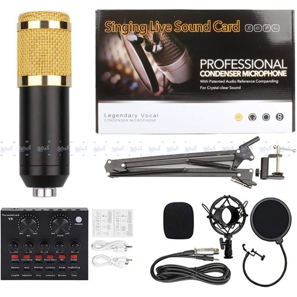 ميكروفون بروفيشنال كوندنسر سلكي