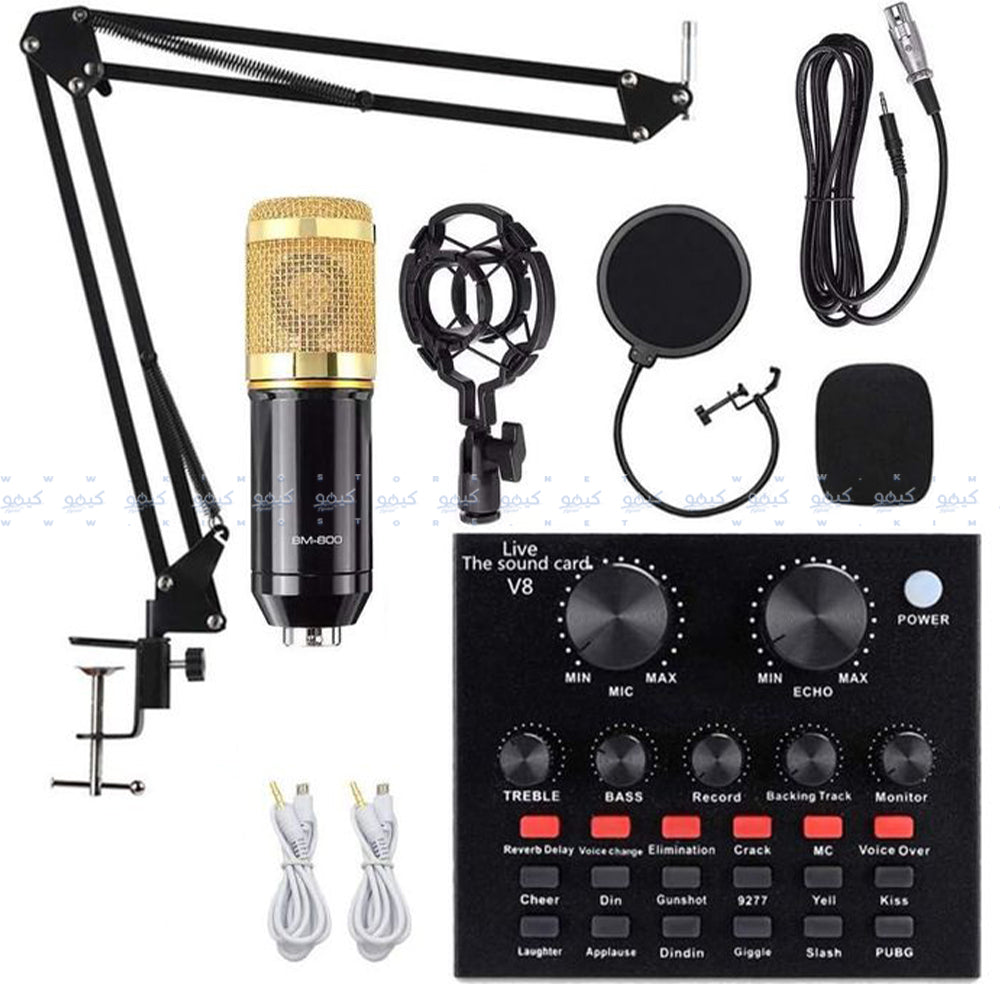 Professional Condenser Wired Microphone
