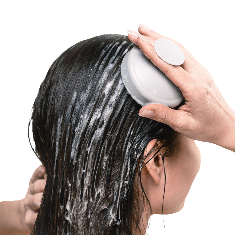 شامبو الشعر راش براش