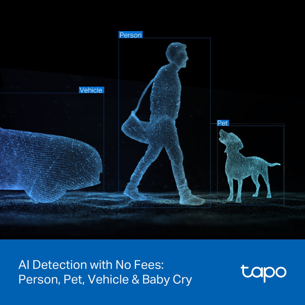 Tapo C246D Dual Lens Wi-Fi Pan & Tilt AI Indoor & Outdoor Security Camera 2K 3MP+3MP 2.8-6mm (Mic) (Full Color)