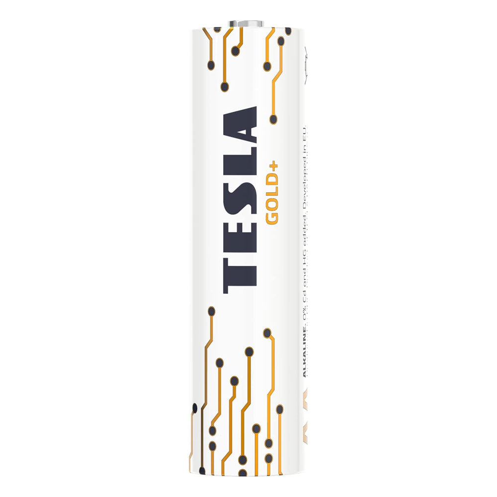 Tesla Gold+ AA2 Battery