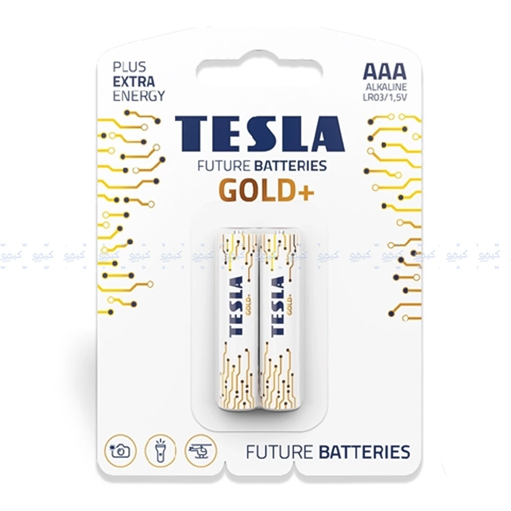 Tesla Gold+ AAA2 Battery