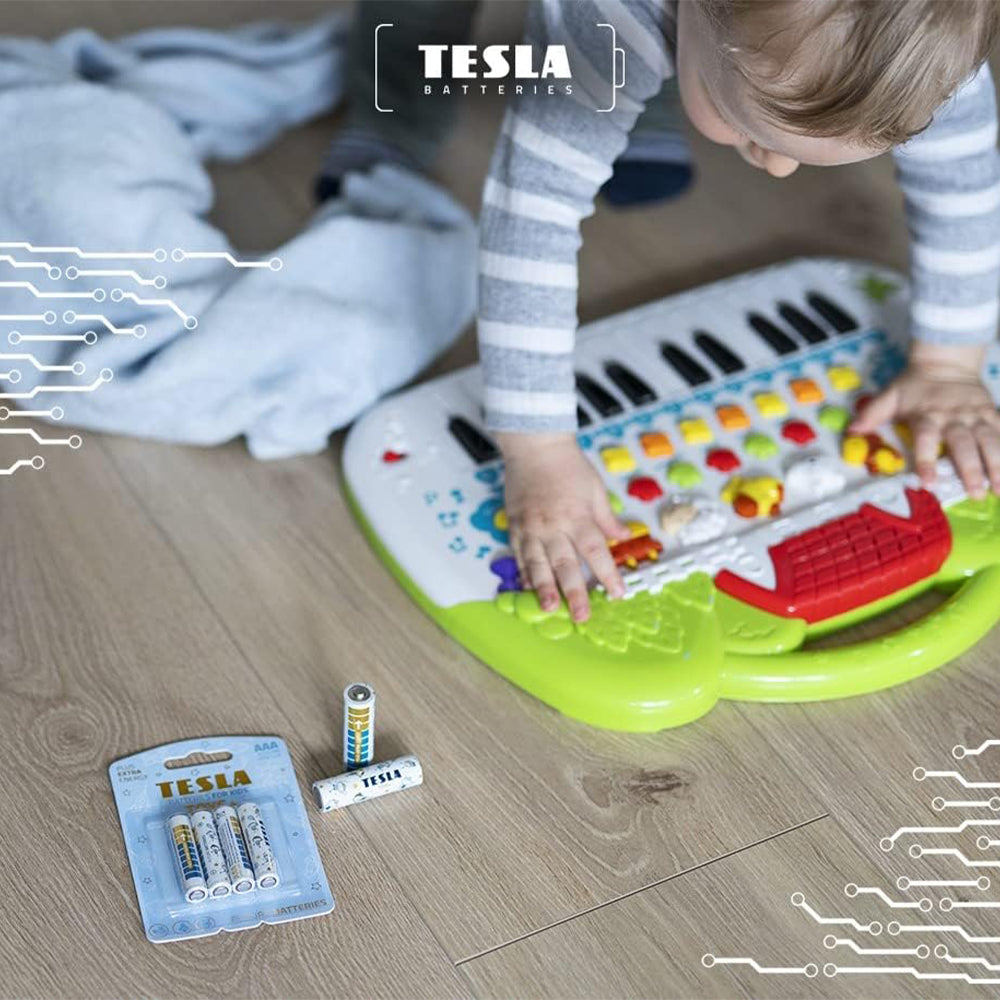 Tesla Toys+ Boy AAA4 Battery
