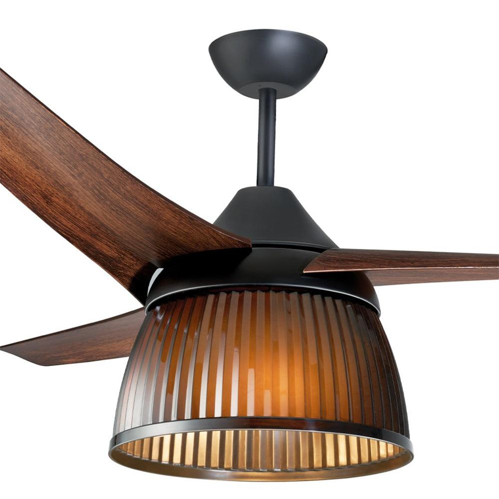 Fan With Remote
