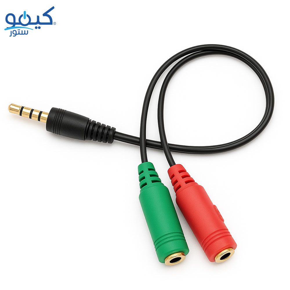 2B CV198 Audio Male To 2 Audio Female Converter