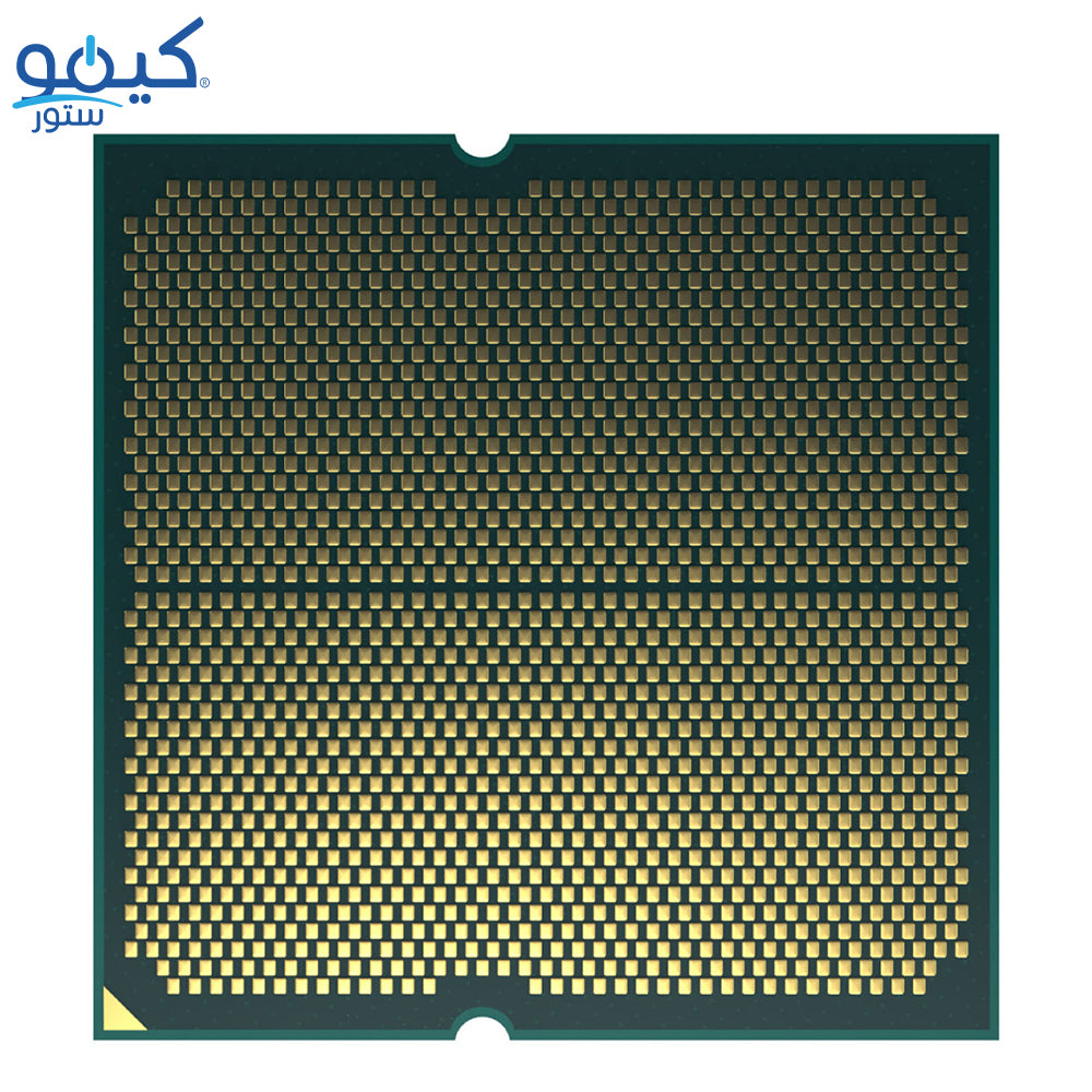 بروسيسور اي ام دي رايزن 9 9900X