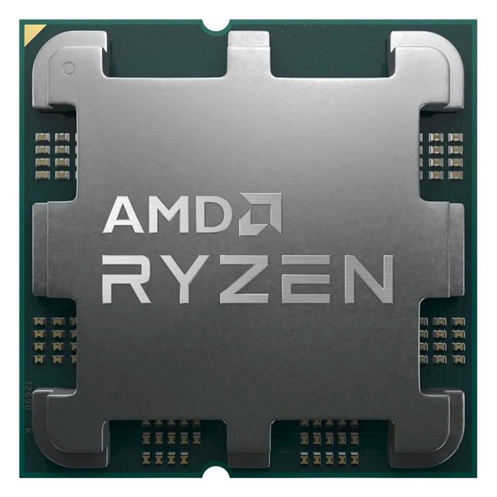 بروسيسور amd
