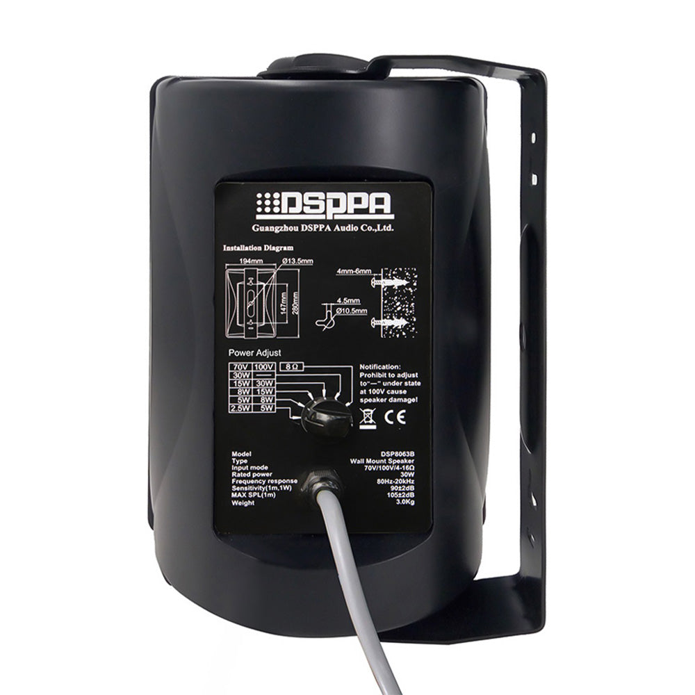 Dsppa Wall Speaker