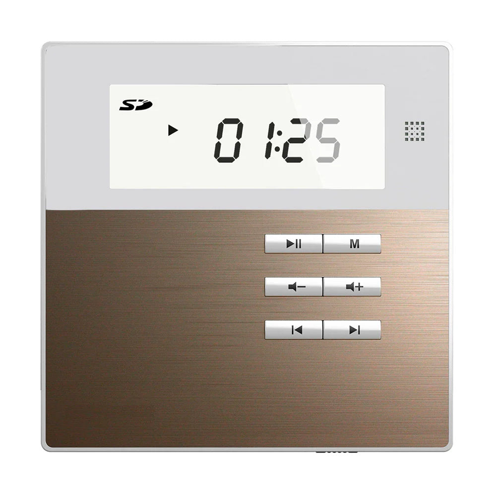 Dsppa M2W Amplifier With 2 Ceiling Speaker