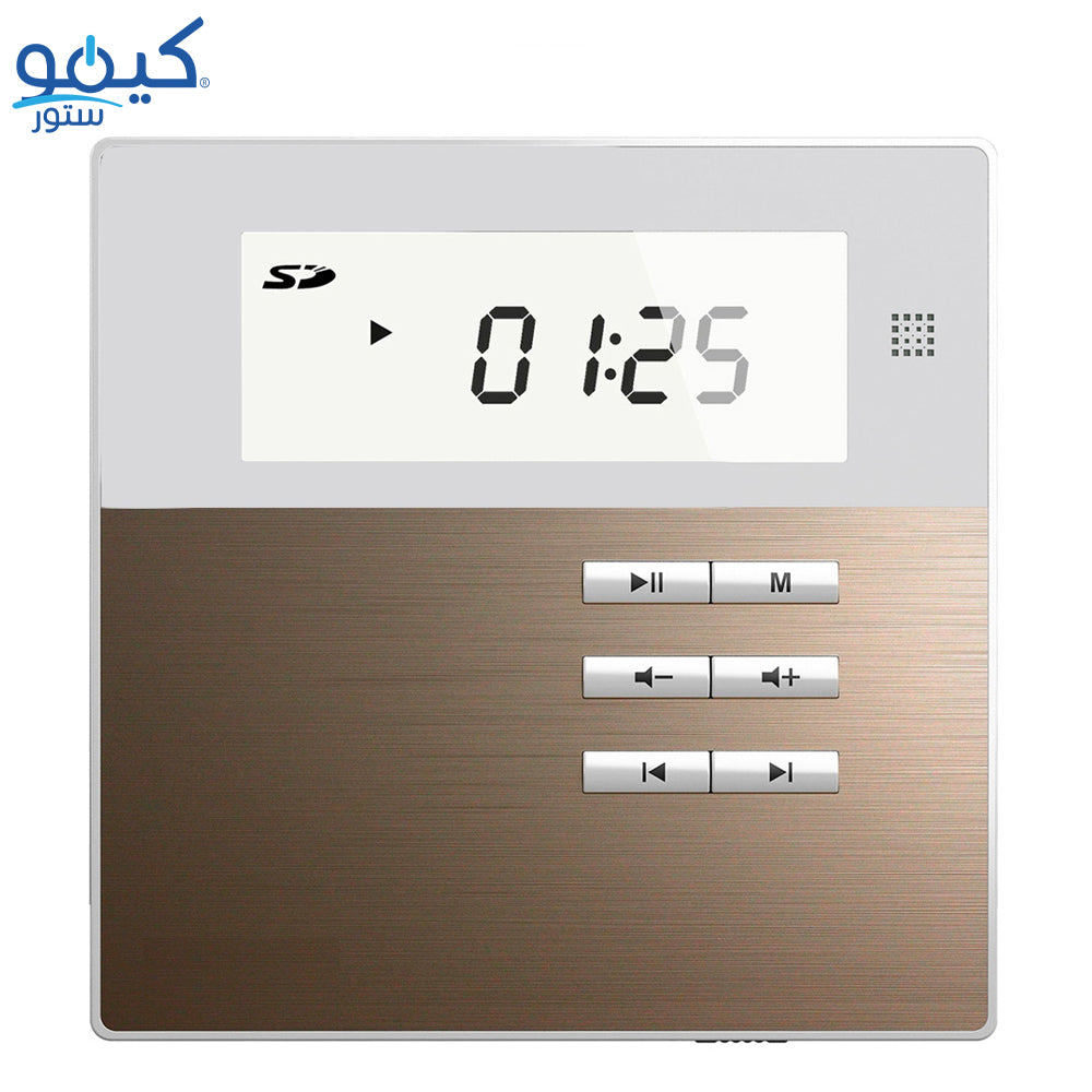 Dsppa M2W Amplifier With 2 Ceiling Speaker