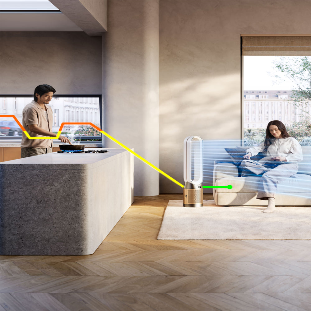 Dyson Air Purifier Cool PC2 De-NOx TP12 - White x Gold