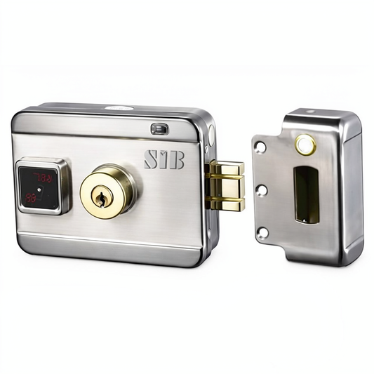 Electric Smart Lock Door