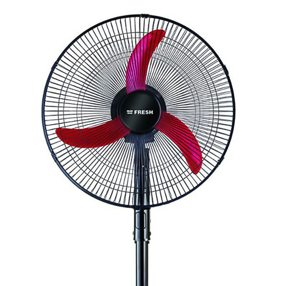 Stand Fan