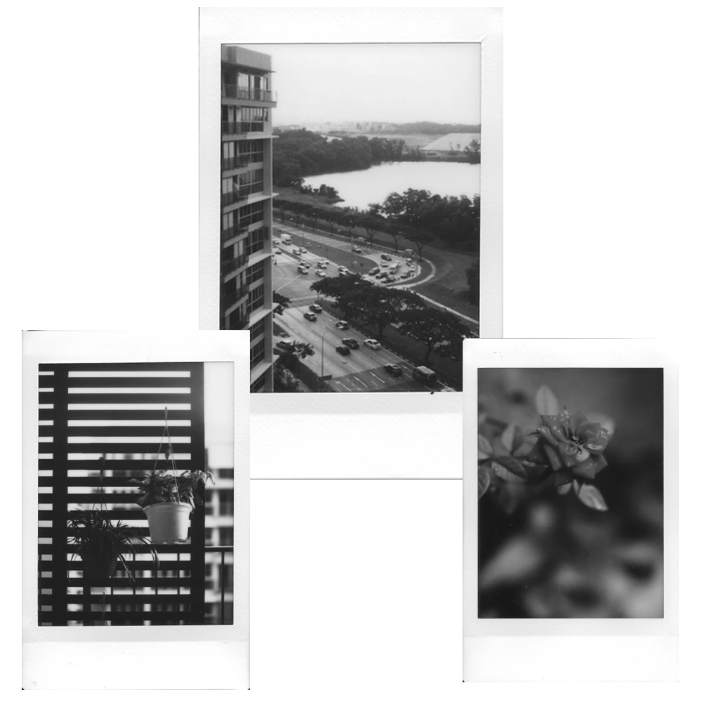 فوجي فيلم 10 ورقات فيلم فوري ميني Instax Monochrome