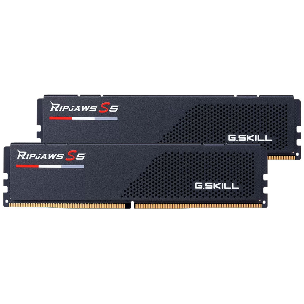 رام جي سكيل 32 جيجابايت (2×16 جيجابايت) 5600 ميجاهرتز Ripjaws S5 DDR5 - أسود