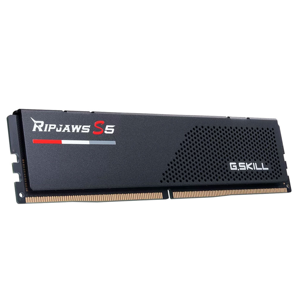 رام جي سكيل 32 جيجابايت (2×16 جيجابايت) 5600 ميجاهرتز Ripjaws S5 DDR5 - أسود