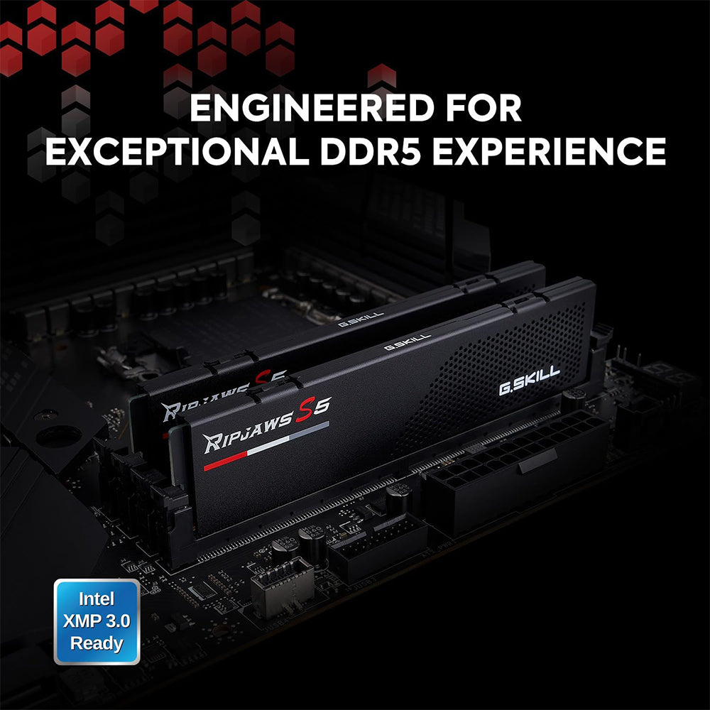 رام جي سكيل 32 جيجابايت (2×16 جيجابايت) 5600 ميجاهرتز Ripjaws S5 DDR5 - أسود
