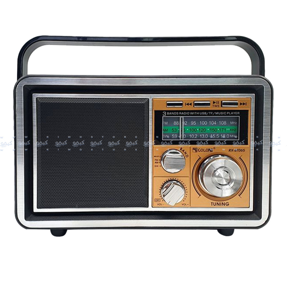 Golon RX-BT065 Portable Radio Speaker 1.0