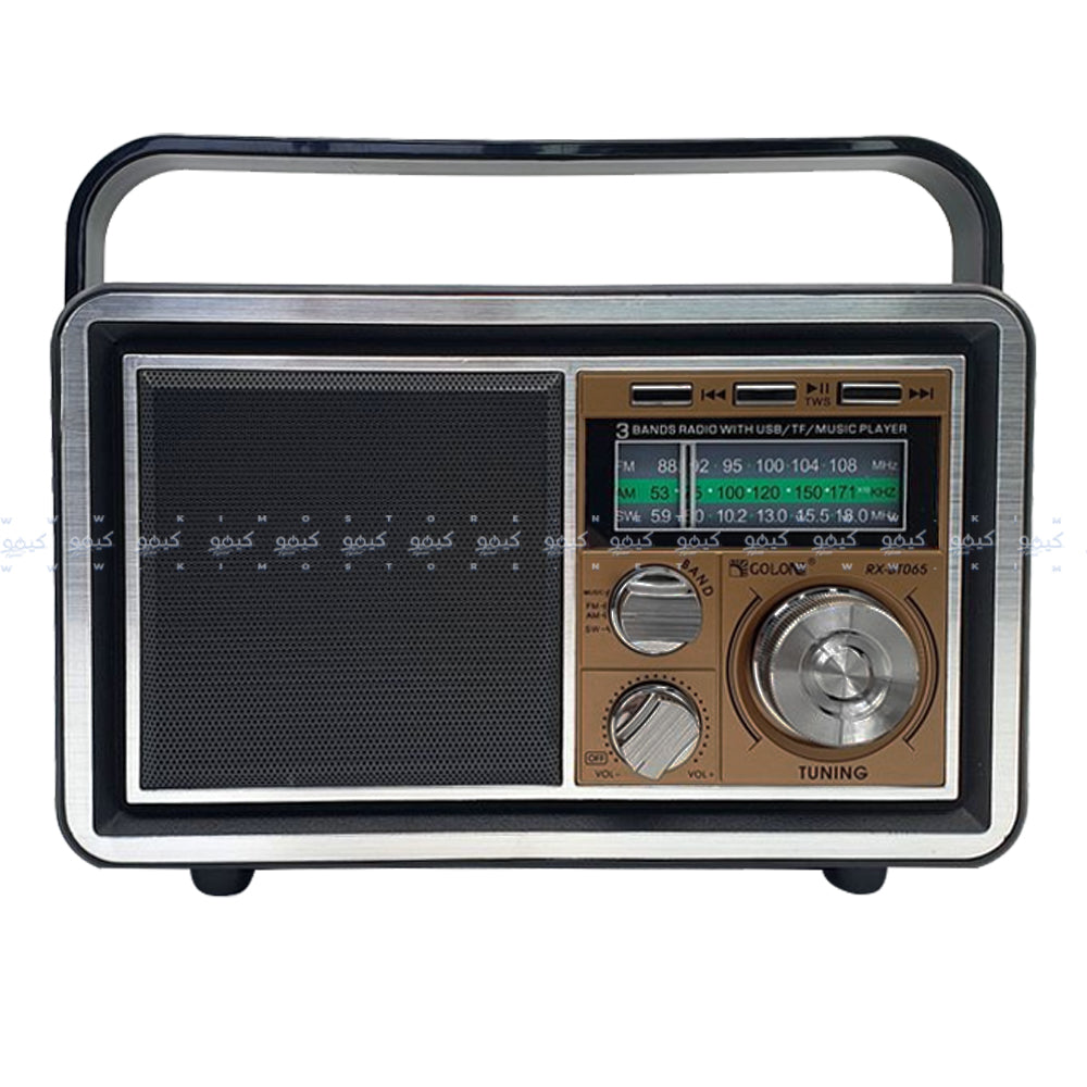 Golon RX-BT065 Portable Radio Speaker 1.0
