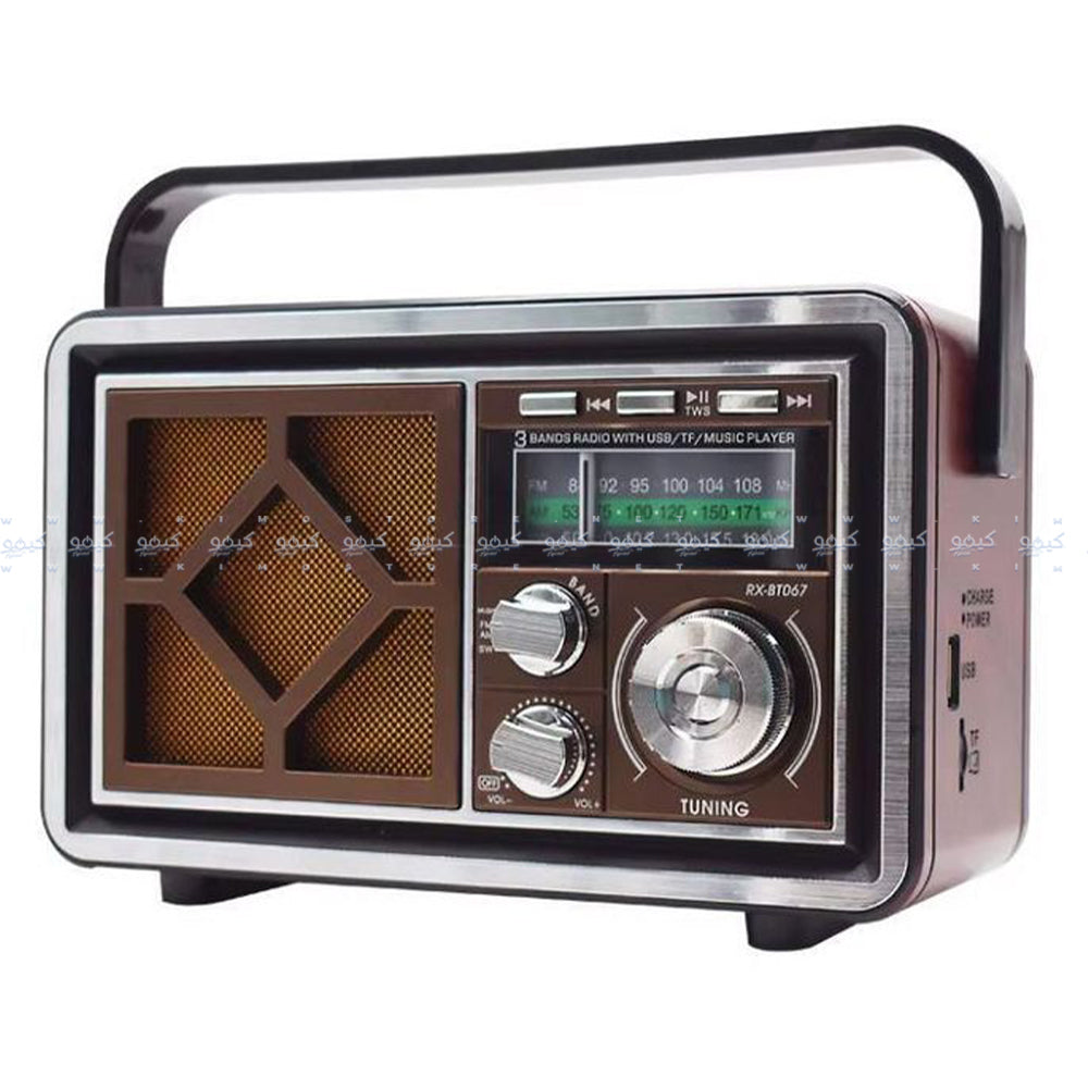 Golon RX-BT067 Portable Radio Speaker 1.0 - Brown