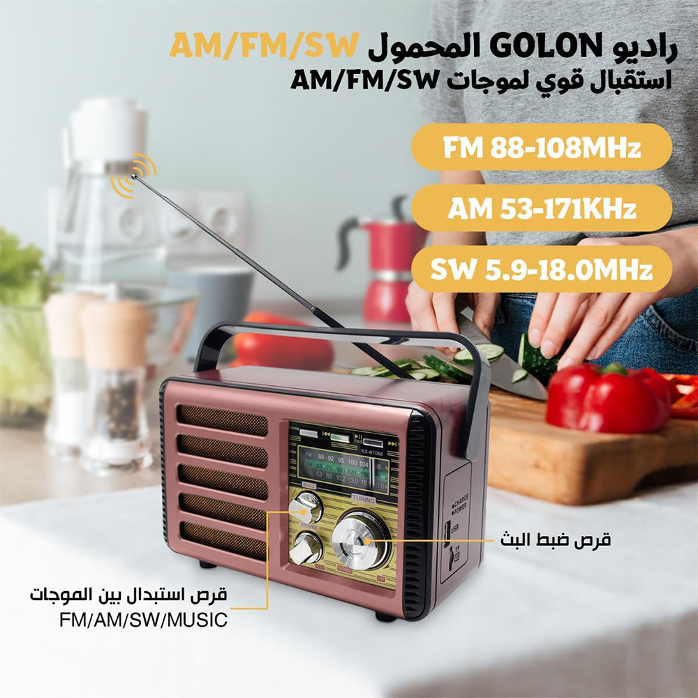 Golon RX-BT068 Portable Radio Speaker 1.0