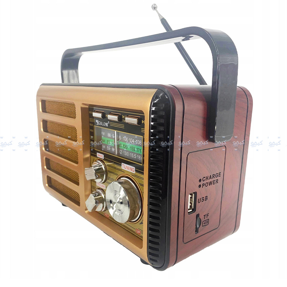 Golon RX-BT068 Portable Radio Speaker 1.0
