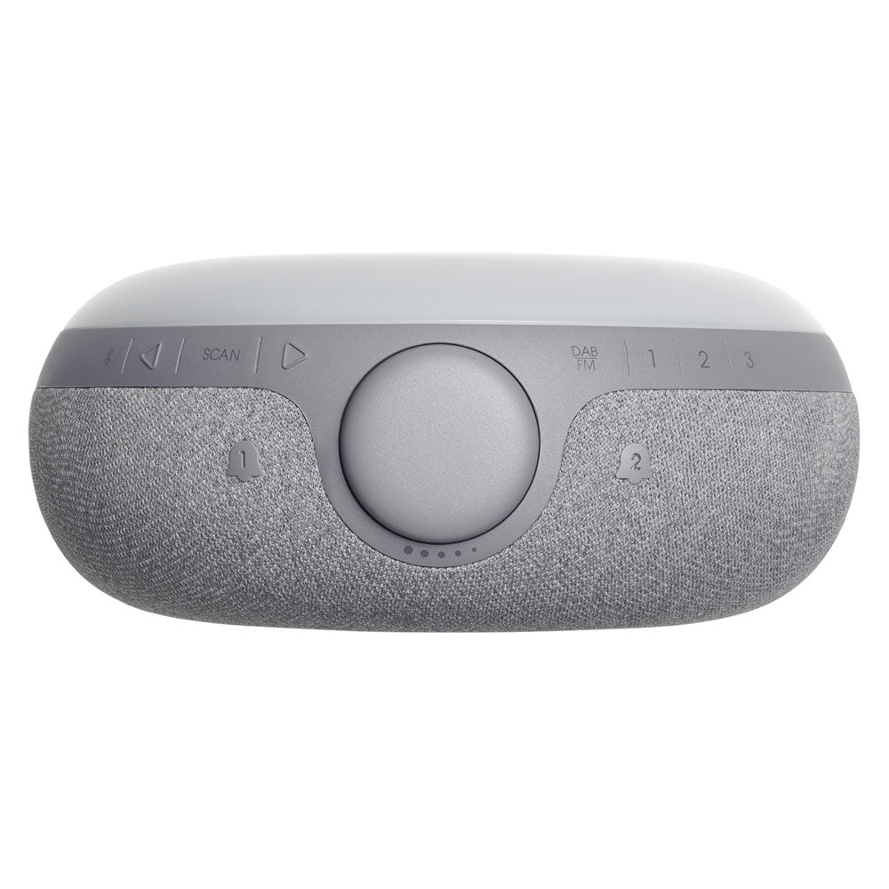 JBL Horizon  Portable Radio Speaker 1.0 - Gray