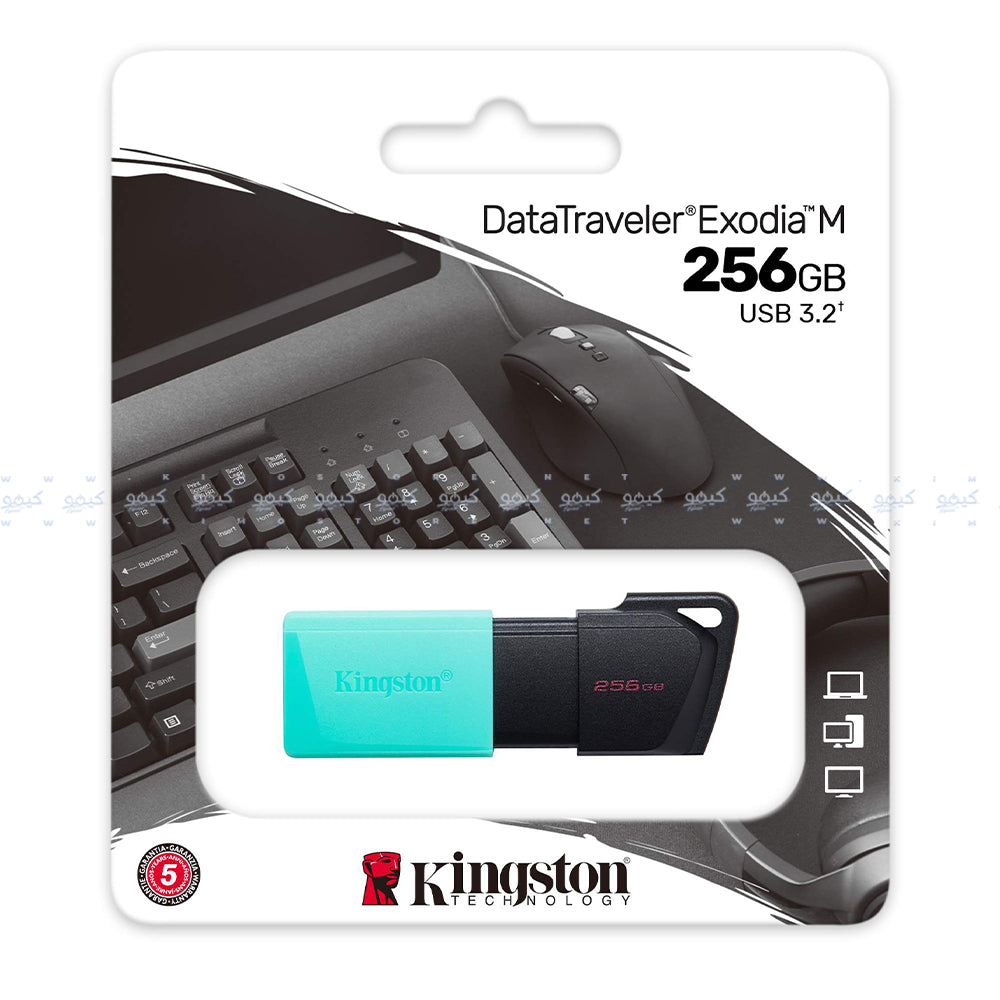Kingston DataTraveler Exodia M 256GB USB 3.2 Flash Memory
