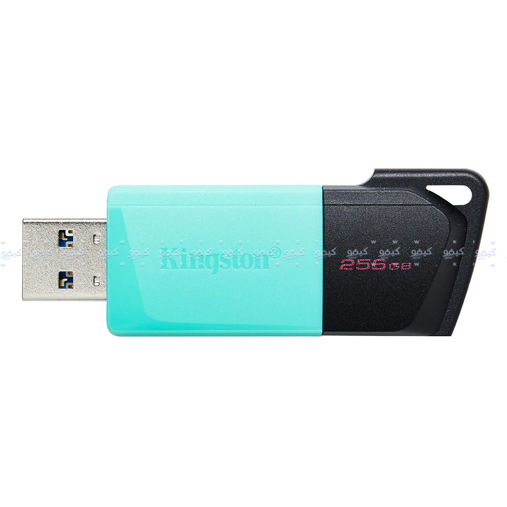Kingston DataTraveler Exodia M 256GB USB 3.2 Flash Memory